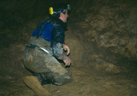 trace préhistorique ours